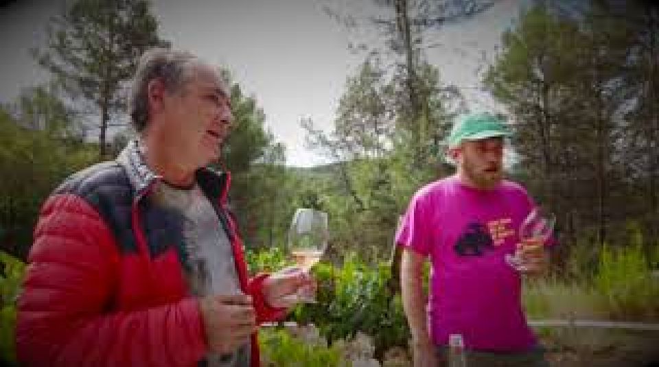 Un passeig per les vinyes on neix el Barba-roja amb el viticultor que té cura dels ceps, Jaume Nin